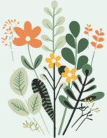 Linda Coates Counselling logo, representing professional therapy services in Berwick upon Tweed, Northumberland, the Scottish Borders, and online.